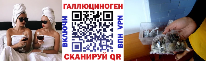 Галлюциногенные грибы MAGIC MUSHROOMS  Купить где  Большой Камень 